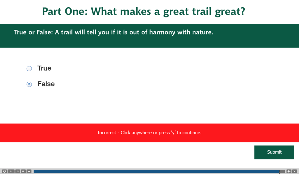 eLearning Quiz Wrong Answer Sample